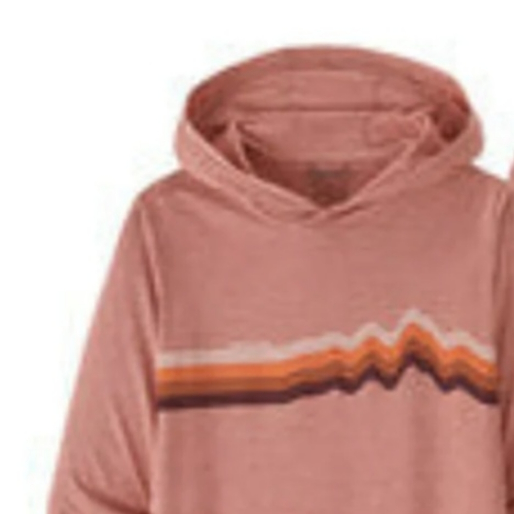 Patagonia hoodie